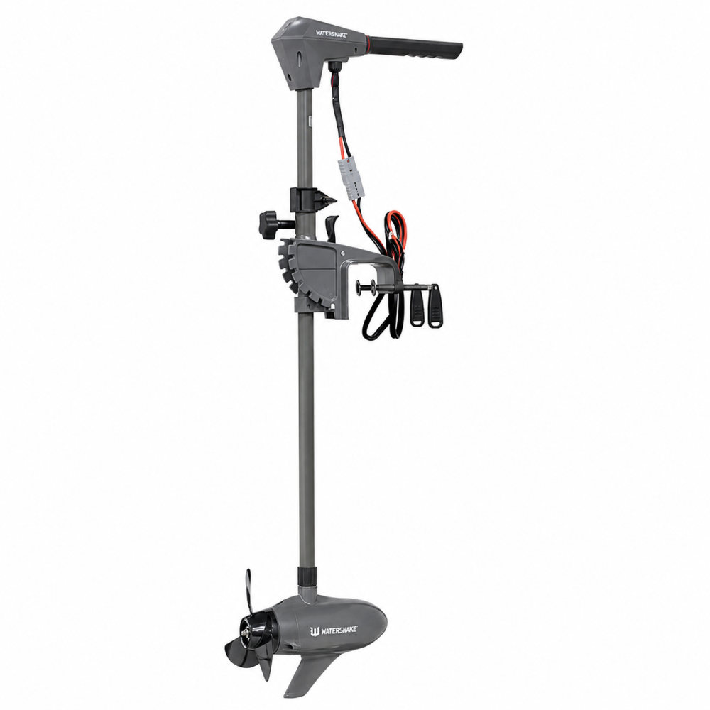 MOTORE WATERSNAKE PRIME BRUSHKESS 55 36 12V